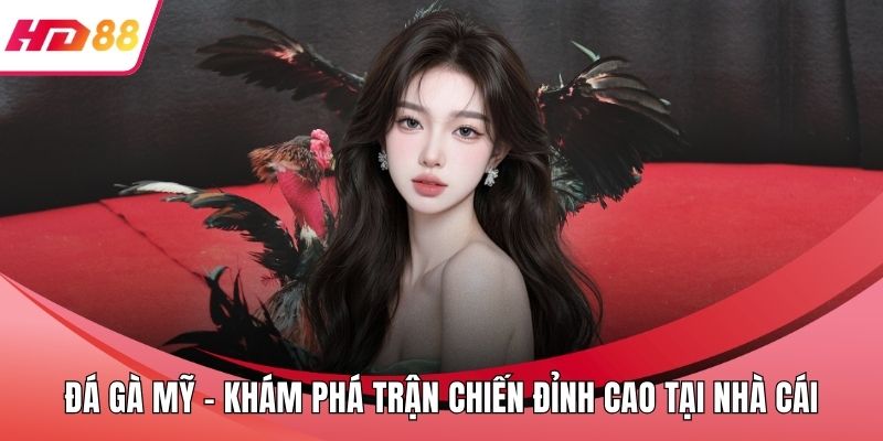Đá Gà Mỹ - Khám Phá Trận Chiến Đỉnh Cao Tại Nhà Cái 