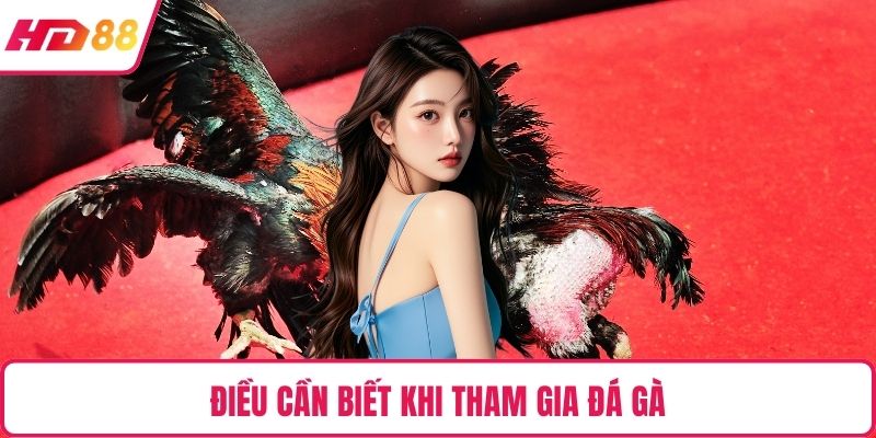 Điều cần biết khi tham gia đá gà