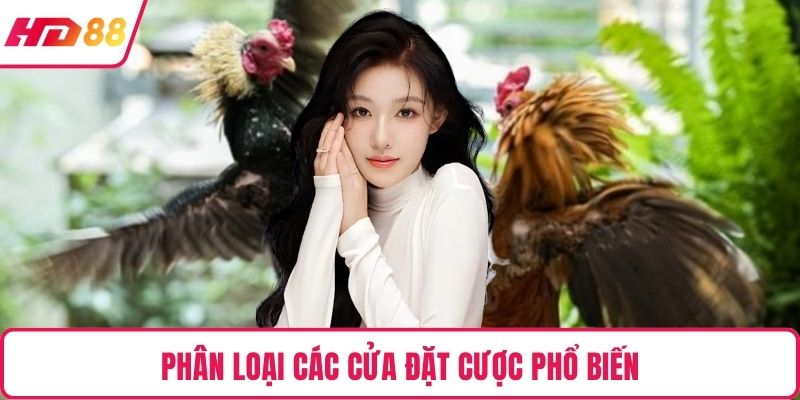 Phân loại các cửa đặt cược phổ biến